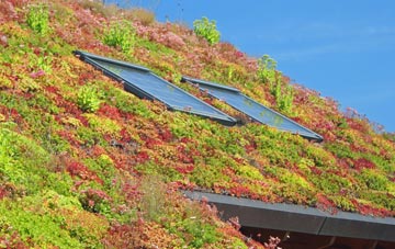 Pages Green living roof systems